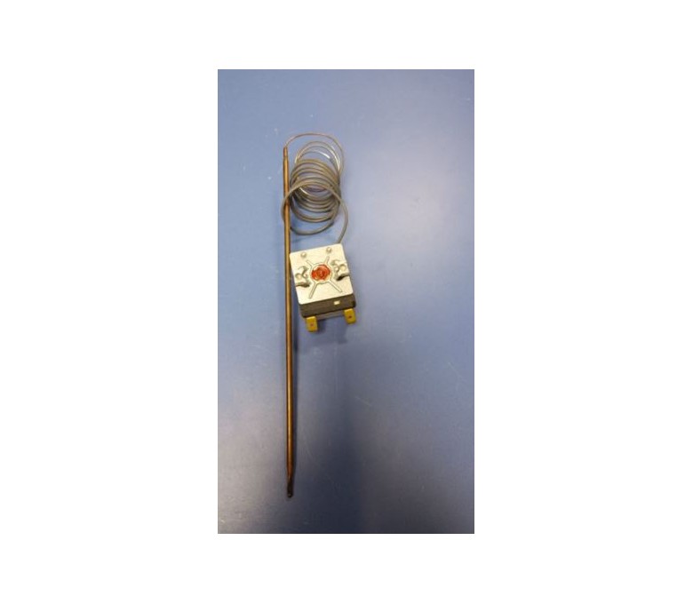 Termostato pirólisis HPA 840