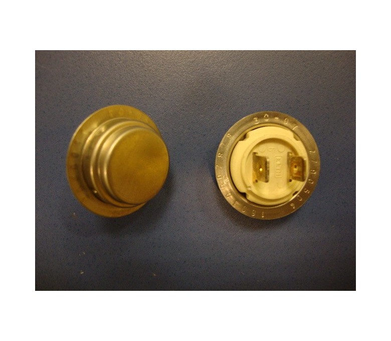 Sonda de temperatura TDW-60 FI