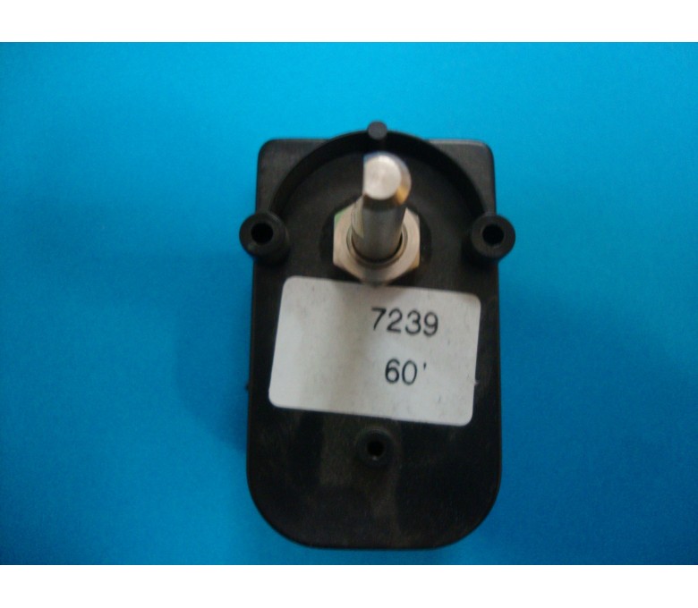 Temporizador E/60 2P 60 Mts